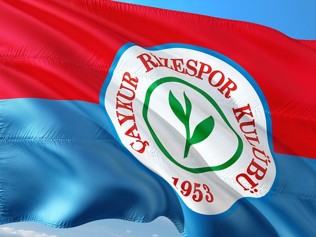 形式面临着 形式面临着