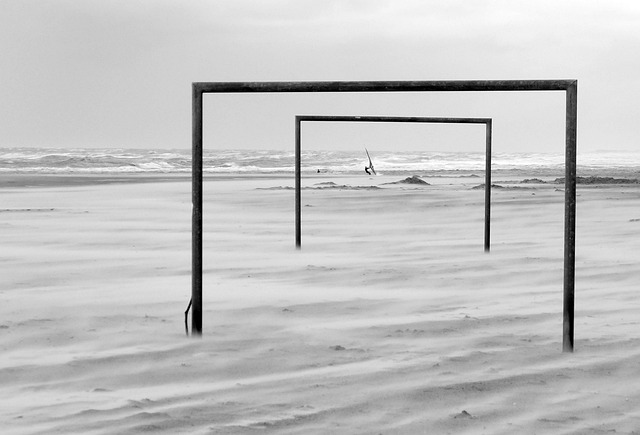 它让自己变 它让自己变