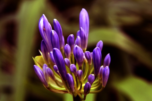 对这位年轻 对这位年轻