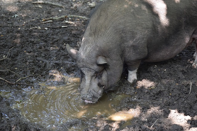 这些教练不 这些教练不