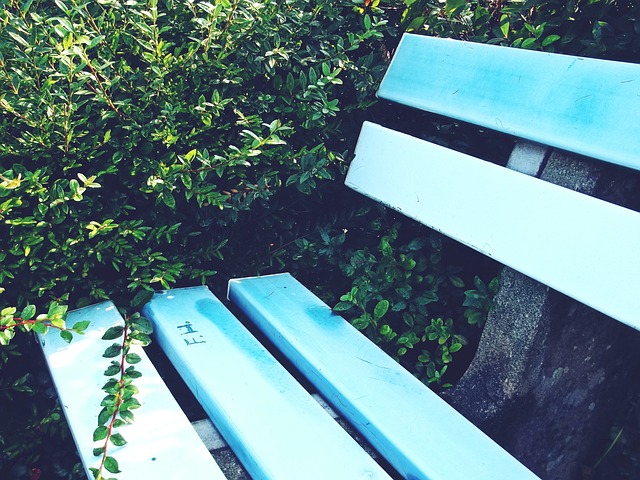 真实写照 真实写照