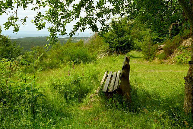 这个决定不 这个决定不