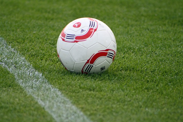 健康方案誕 健康方案誕