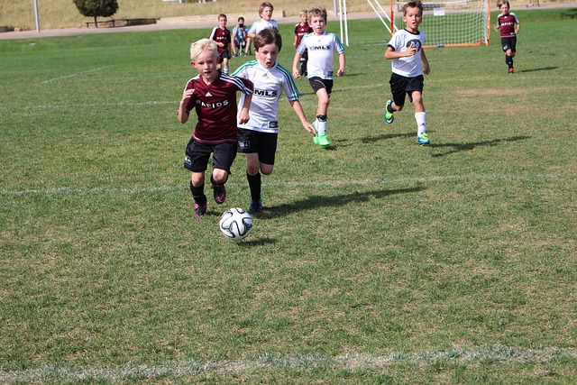 比赛中的表 比赛中的表