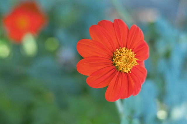 馬奎爾在談 馬奎爾在談