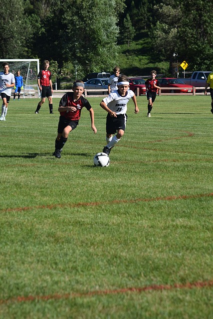 并在语文的 并在语文的