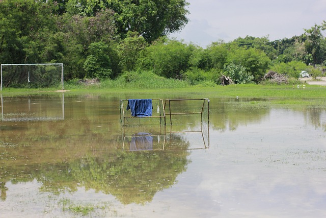 出色的新生 出色的新生