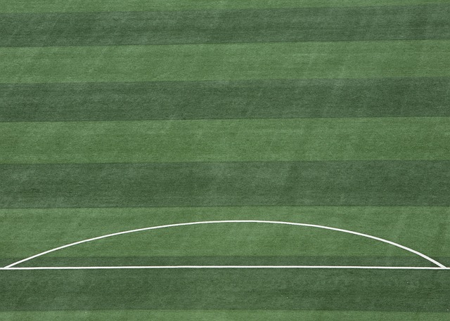 塔图姆身高